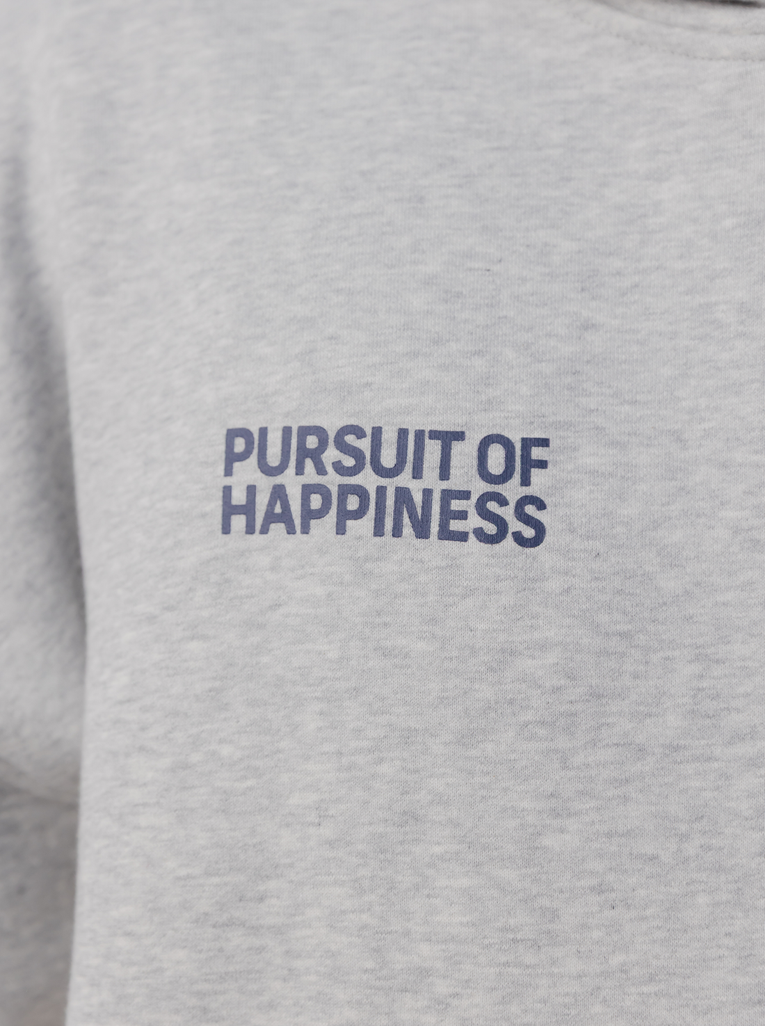 Basic Hoodie in Champion Grey